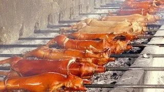 lechon